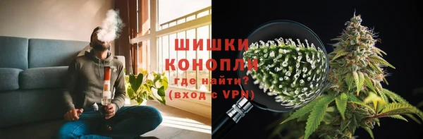 твердый Магас