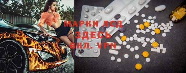 твердый Магас