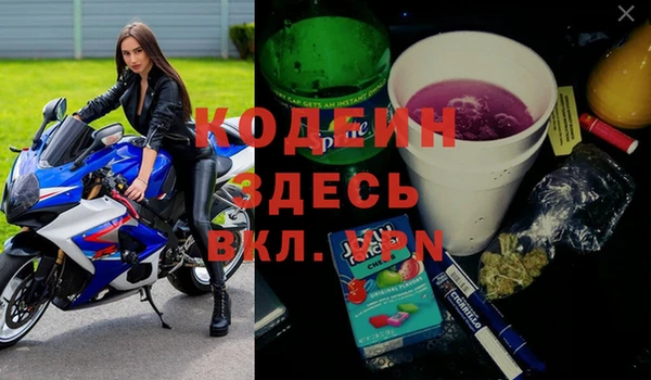 твердый Магас