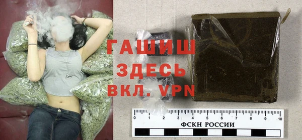 твердый Магас