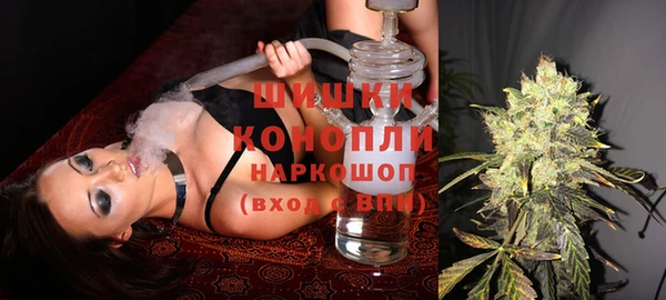 твердый Магас