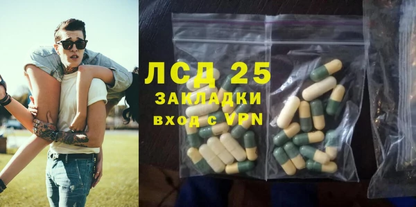 твердый Магас