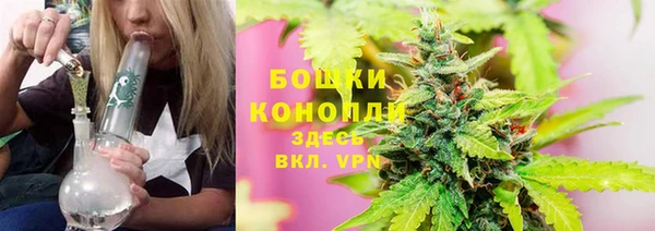 твердый Магас