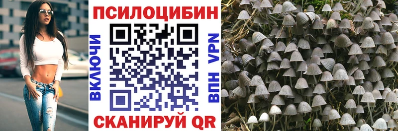 Галлюциногенные грибы ЛСД наркошоп Городище
